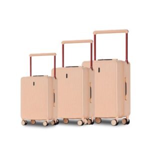 aluvox rm 031 telescopic hand luggage