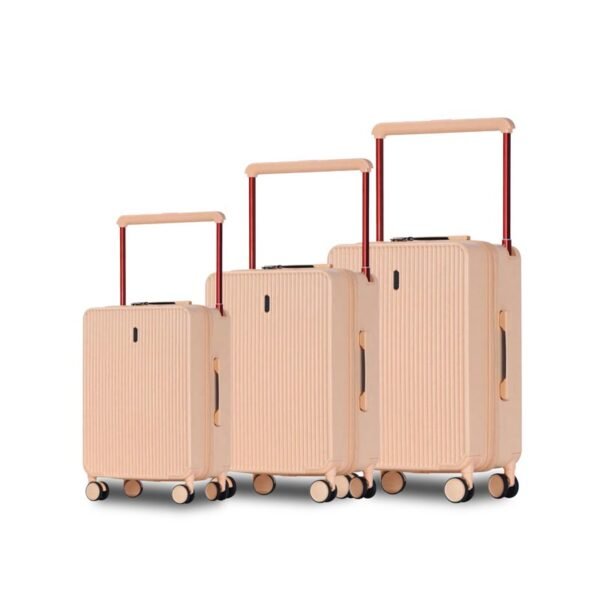 aluvox rm 031 telescopic hand luggage