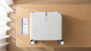 18 inch carry-on luggage compact suitcase buyer's guide — personal item dimensions and OEM sourcing