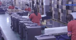 luggage packing line cartons